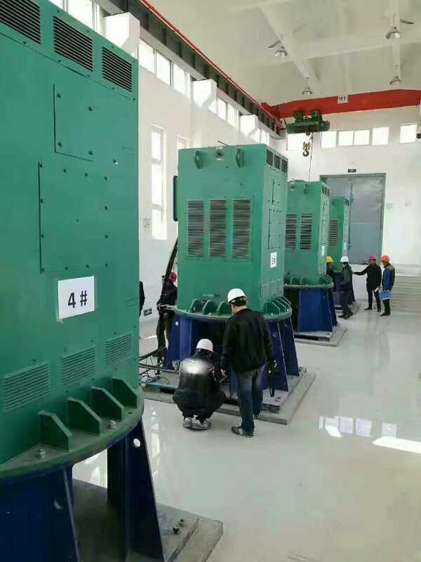 昌邑某污水处理厂使用我厂的立式高压电机安装现场